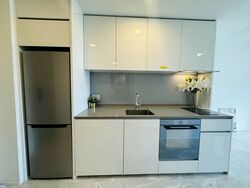 Amber Park (D15), Condominium #429034381